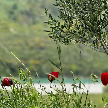 Rv Parking And Wild River مكان تخييم Tepelene